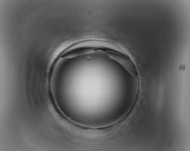 X0000112900008200908281737