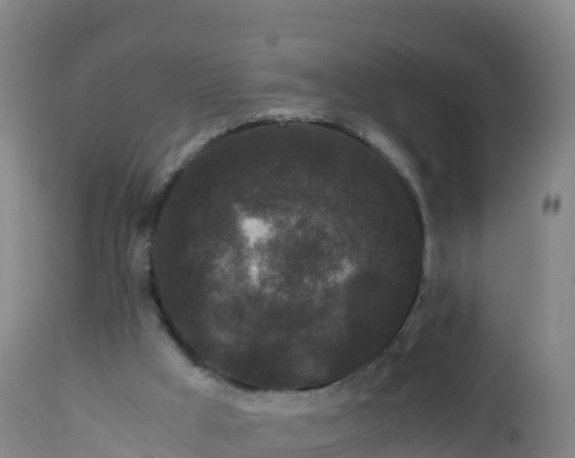 X0000112900009200908281737