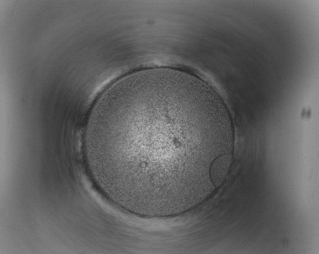 X0000112900010200908281737