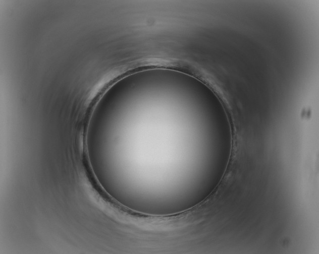 X0000112900011200908281737