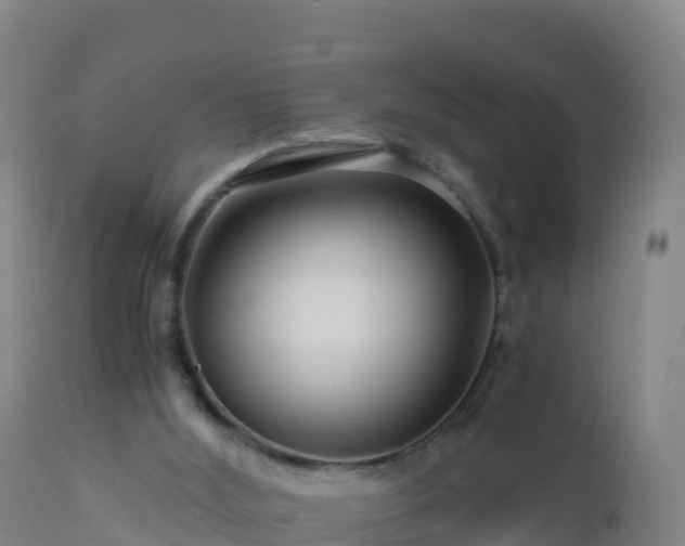 X0000112900012200908281737