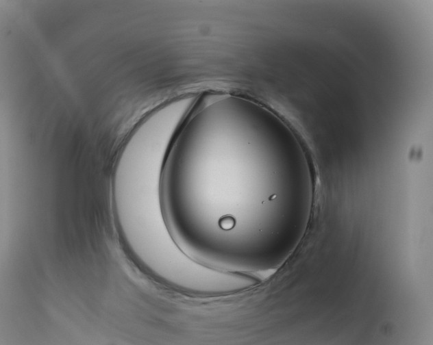 X0000112900013200908281737