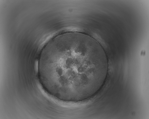 X0000112900014200908281737