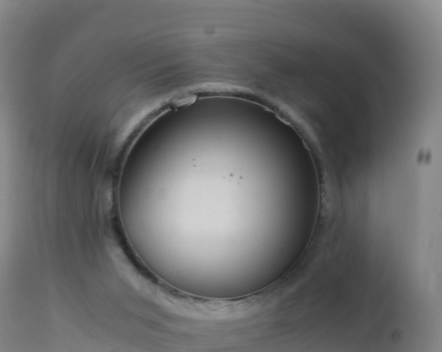 X0000112900015200908281737