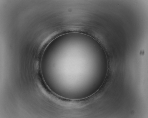 X0000112900016200908281737