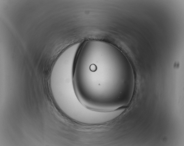 X0000112900017200908281737