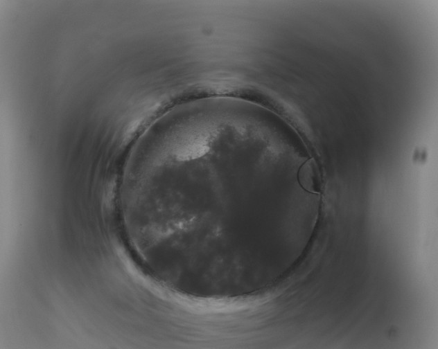 X0000112900018200908281737