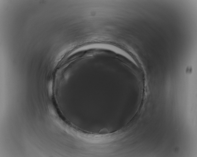 X0000112900019200908281737