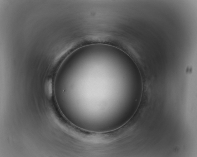 X0000112900020200908281737