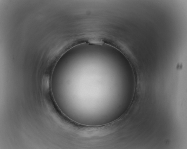 X0000112900021200908281737