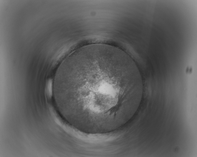 X0000112900022200908281737