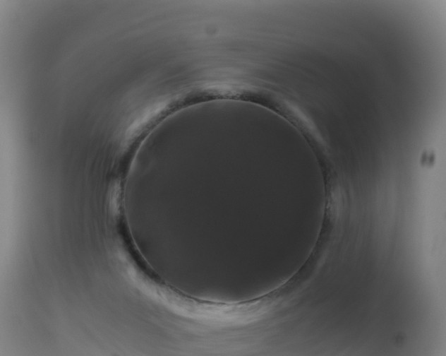 X0000112900023200908281737