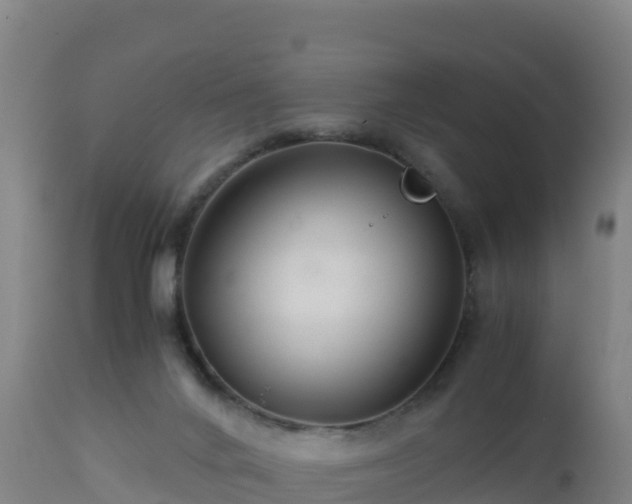 X0000112900024200908281737