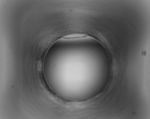 X0000112900025200908281737