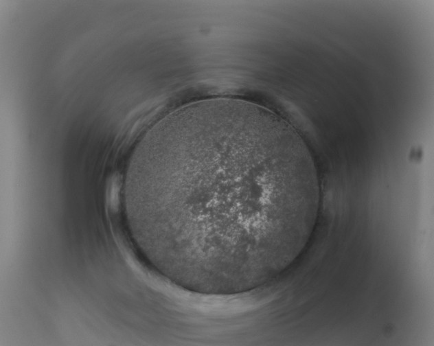 X0000112900026200908281737