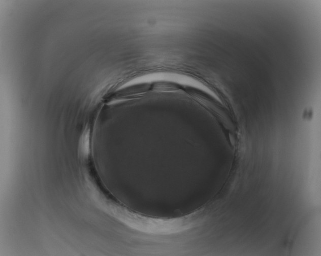 X0000112900027200908281737