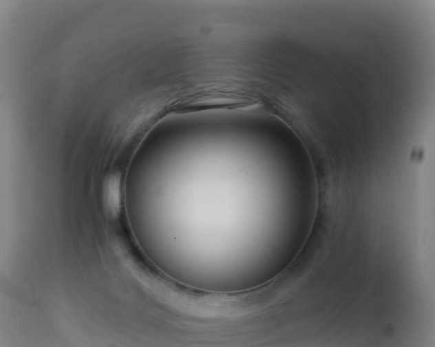 X0000112900028200908281737