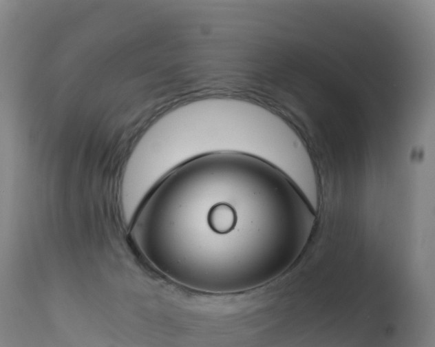 X0000112900029200908281737