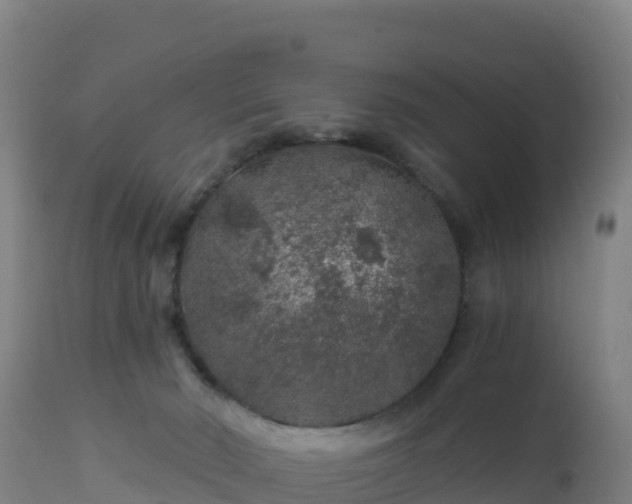 X0000112900030200908281737