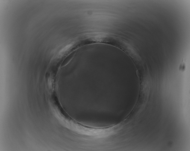 X0000112900031200908281737