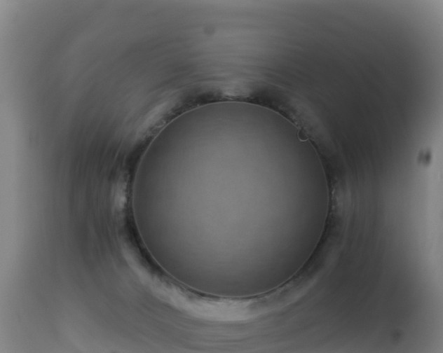 X0000112900032200908281737