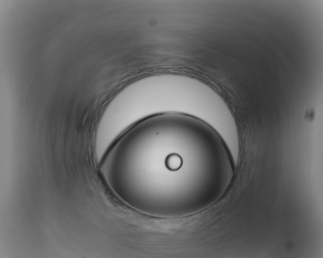 X0000112900033200908281737