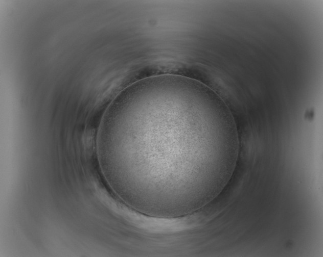 X0000112900034200908281737