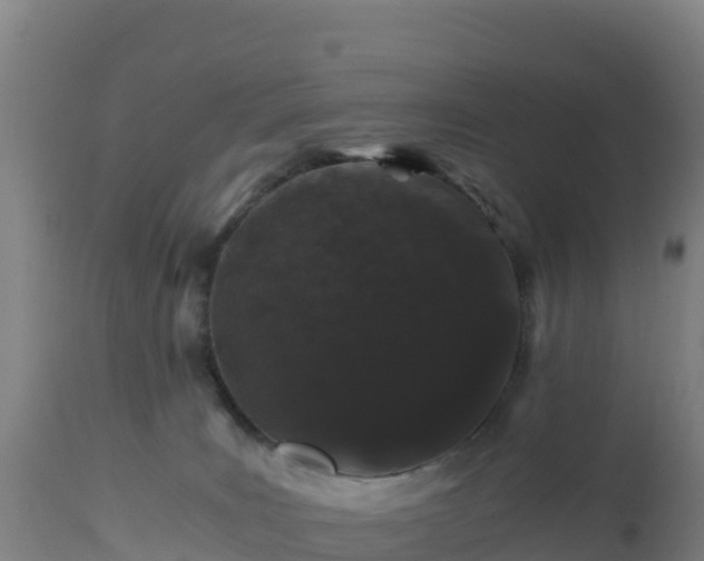 X0000112900035200908281737