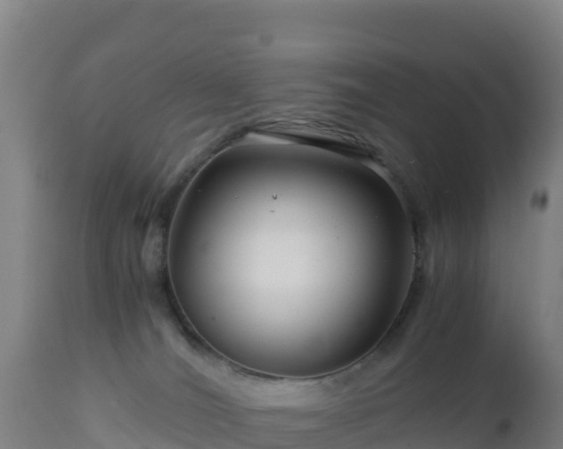 X0000112900036200908281736