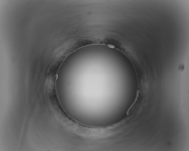 X0000112900037200908281736