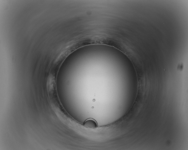 X0000112900038200908281736