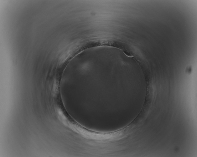 X0000112900039200908281736