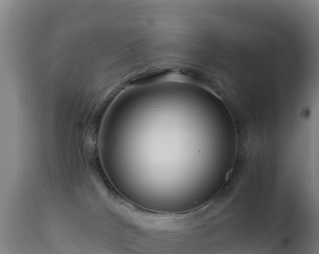 X0000112900040200908281736