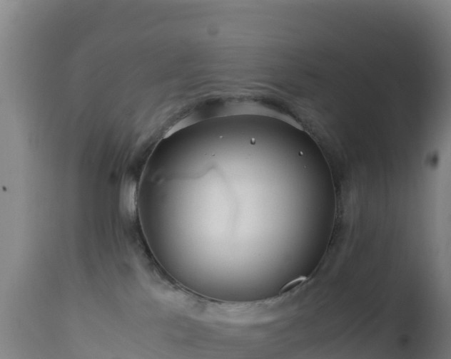 X0000112900041200908281736