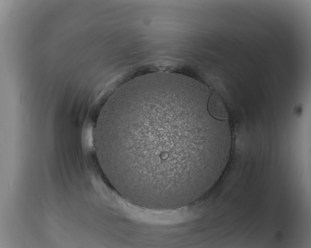 X0000112900042200908281736