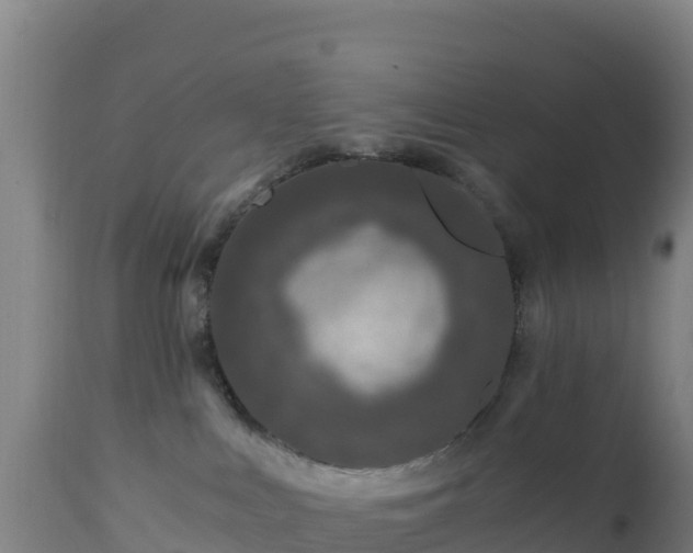 X0000112900043200908281736