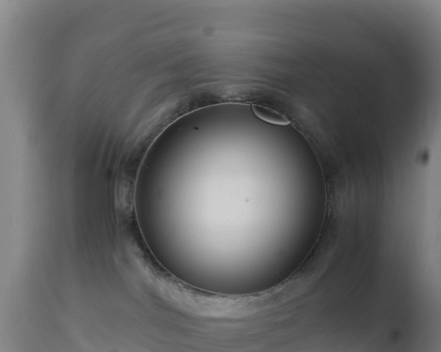 X0000112900044200908281736