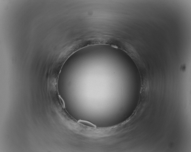 X0000112900045200908281736