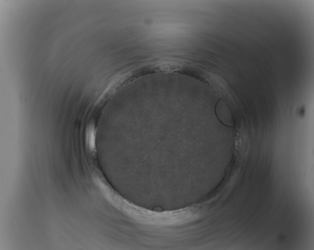 X0000112900046200908281736