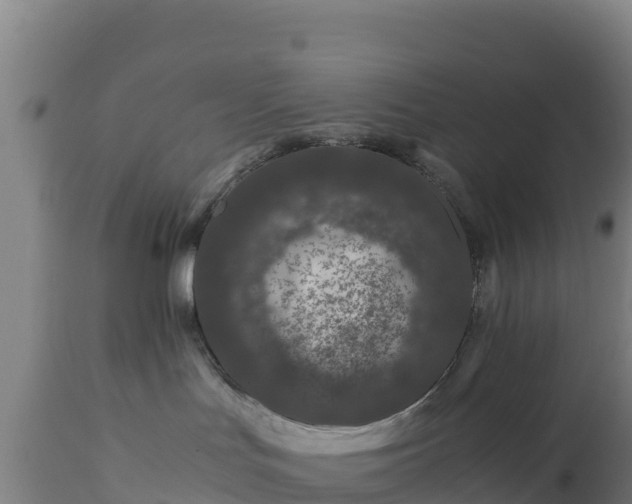 X0000112900047200908281736