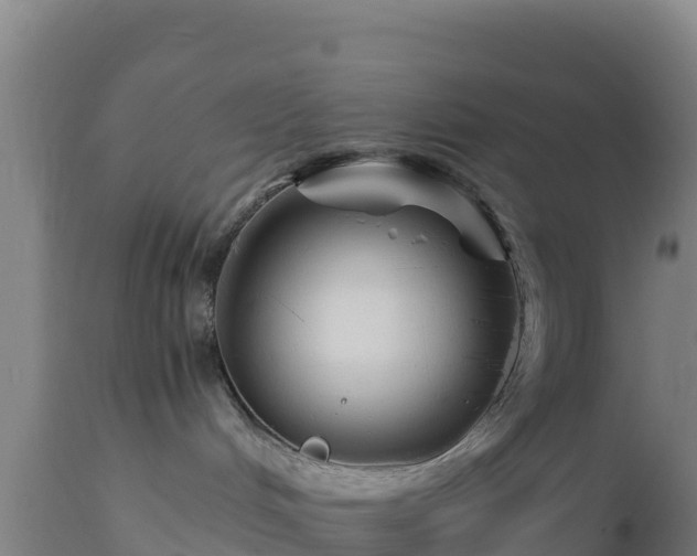 X0000112900048200908281736