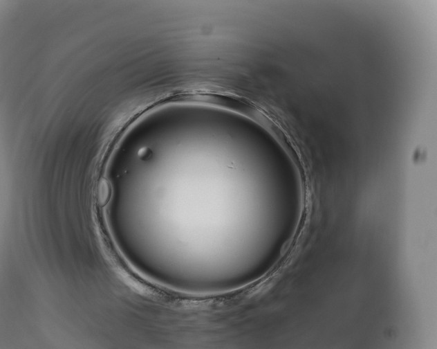 X0000112900049200908281735