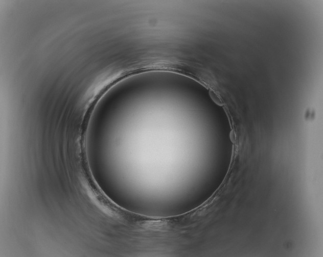 X0000112900050200908281736