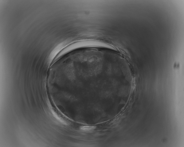 X0000112900051200908281736