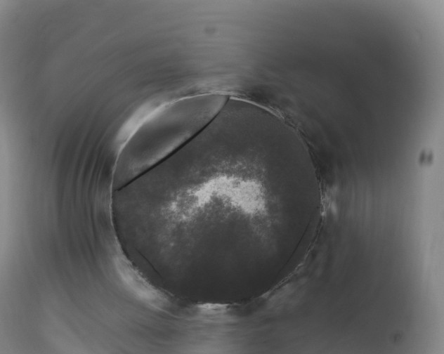 X0000112900052200908281736