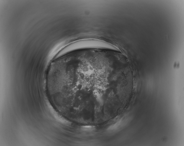 X0000112900053200908281736