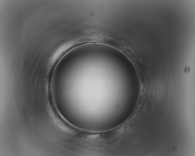 X0000112900054200908281736