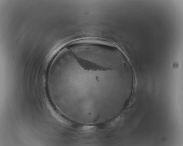 X0000112900055200908281736