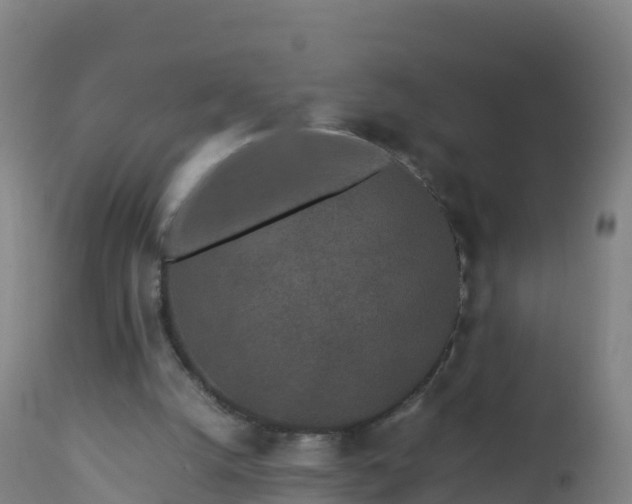 X0000112900056200908281736