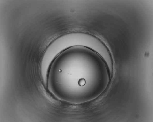 X0000112900057200908281736